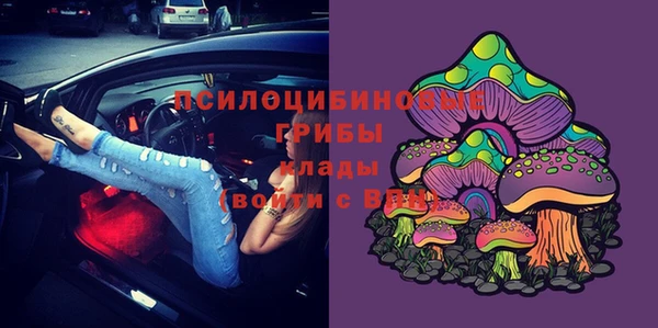 хмурый Богородицк