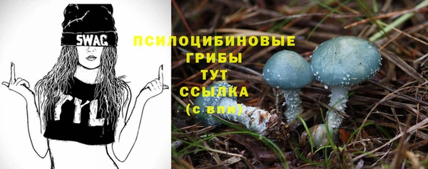 амф Беломорск