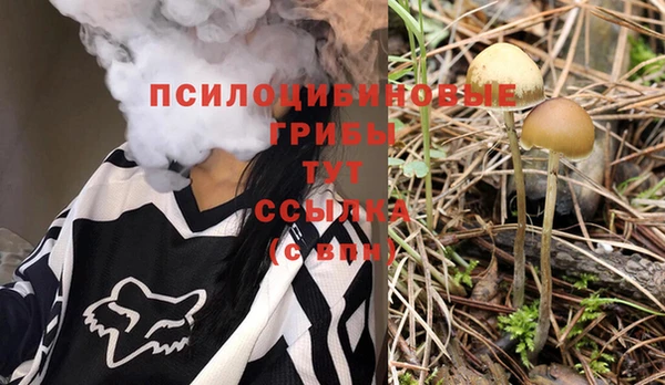 амф Беломорск
