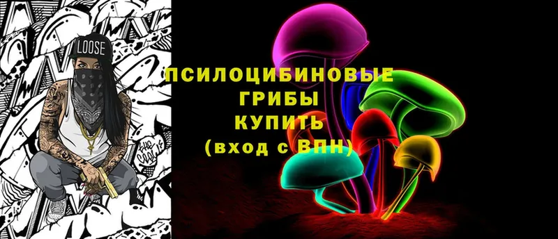 Псилоцибиновые грибы Cubensis Дальнегорск