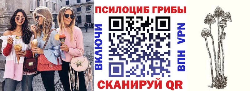Псилоцибиновые грибы ЛСД  Дальнегорск 
