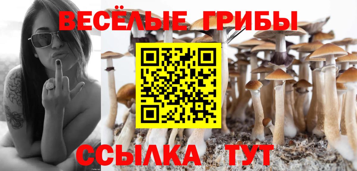 Дальнегорск  Псилоцибиновые грибы мицелий  Вход с VPN 