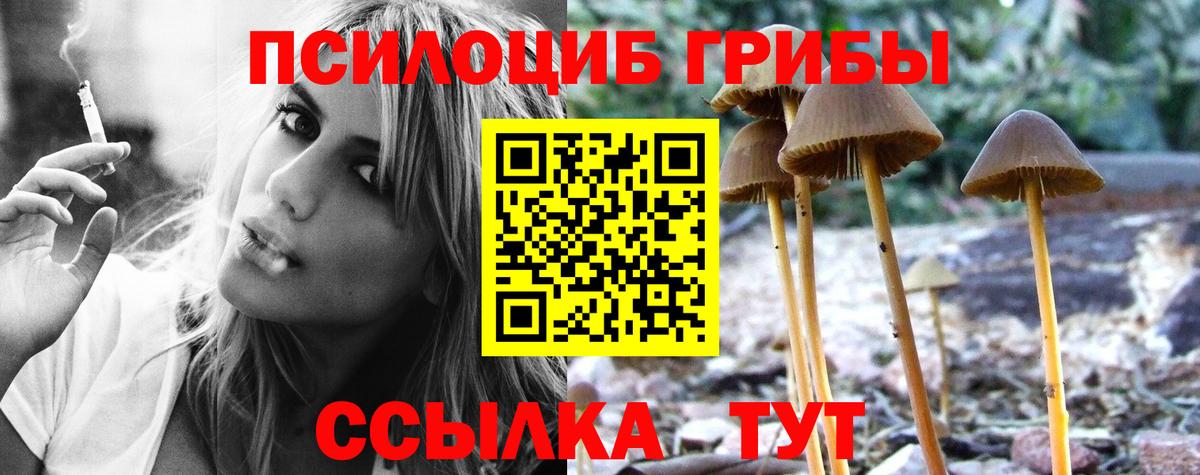 Галлюциногенные грибы Psilocybine cubensis Дальнегорск