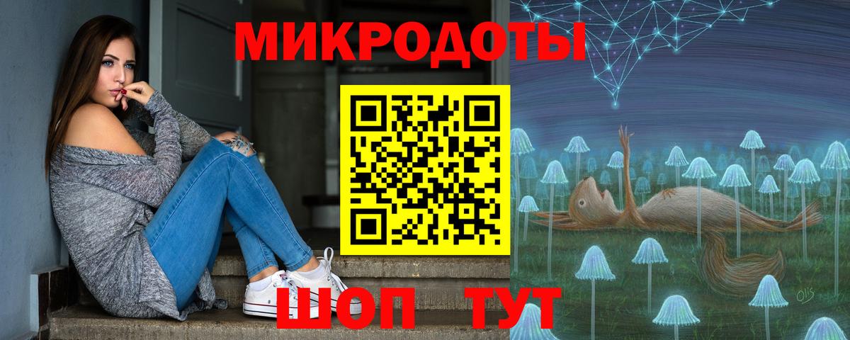 Псилоцибиновые грибы Psilocybe  магазин продажи наркотиков  Галлюциногенные грибы мухоморы  Дальнегорск 